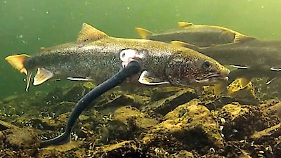 Great Lakes Wild Season 1 Episode 2