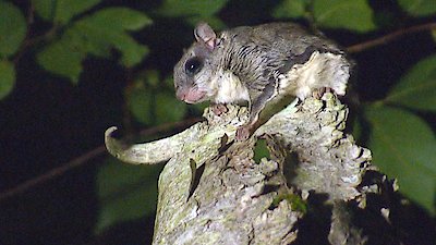 Great Lakes Wild Season 1 Episode 7