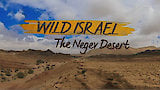 The Negev Desert