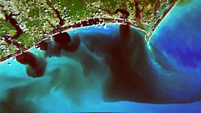 What on Earth? Season 7 Episode 4