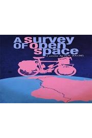 A Survey of Open Space