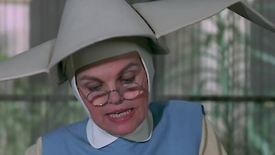 The Flying Nun Season 3 Episode 13