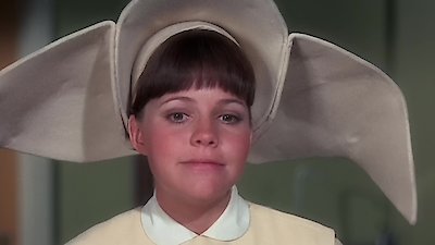 The Flying Nun Season 3 Episode 14