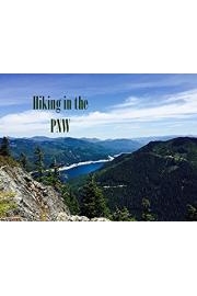 initial publish - series fails