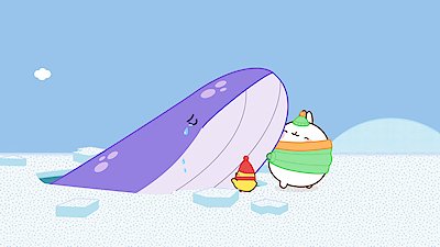 Molang Season 3 Episode 17