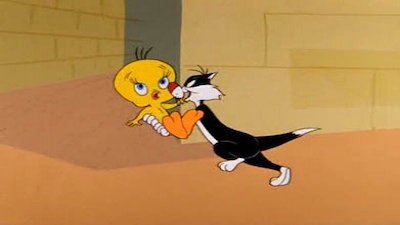 Looney Tunes Season 5 Episode 1