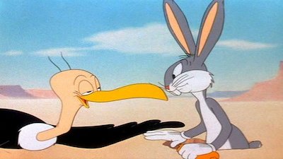 Looney Tunes Season 1 Episode 156