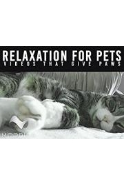 Relaxation For Pets: Videos That Give Paws