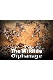 The Wildlife Orphanage