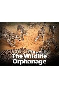 The Wildlife Orphanage