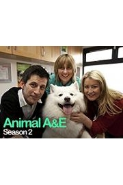 Animal A&E