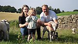 Taking Over the Family Farm