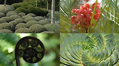 Around the World in 80 Gardens Season 1 Episode 2