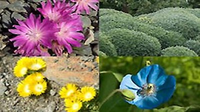 Around the World in 80 Gardens Season 1 Episode 9