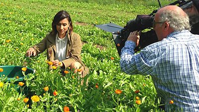 Countryfile Season 28 Episode 31