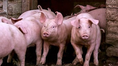 Countryfile Season 2 Episode 3