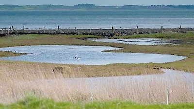 Countryfile Season 2 Episode 17