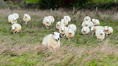 Countryfile Season 2 Episode 13