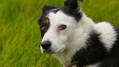 Countryfile Season 2 Episode 10