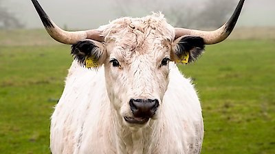 Countryfile Season 2 Episode 6