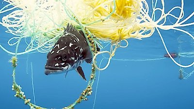 Countryfile Season 2 Episode 15