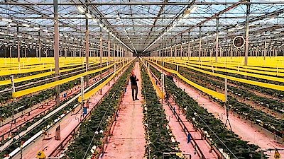 Countryfile Season 2 Episode 12