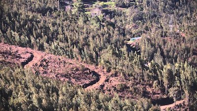 MTB Insights Season 1 Episode 4