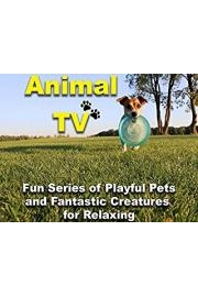 Animal TV Fun Series of Playful Pets and Fantastic Creatures for Relaxing
