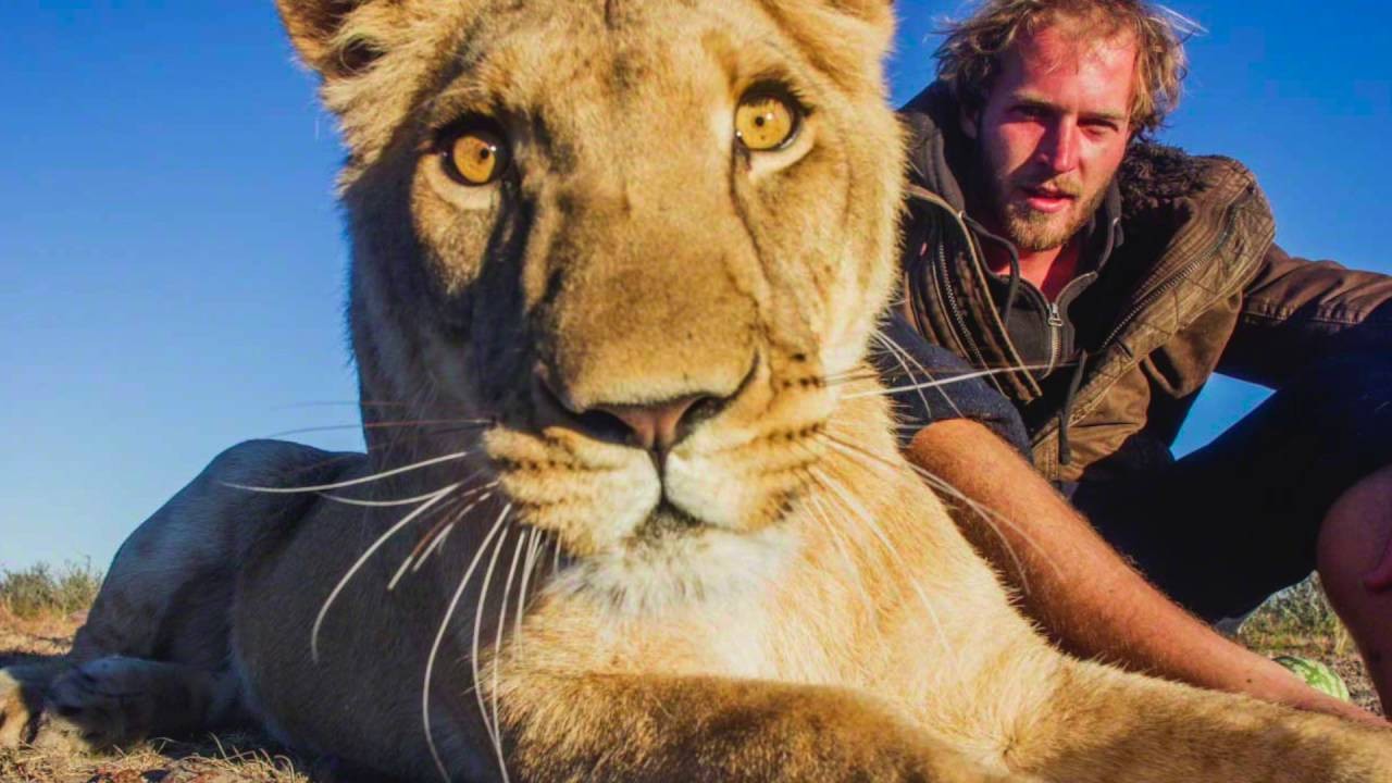 Saving Sirga: Journey into the Heart of a Lion