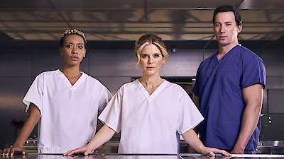 Watch Silent Witness Season 25 Episode 1 - History, Part 1 Online Now