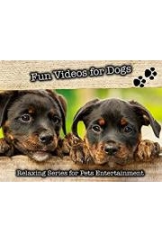 Fun Videos for Dogs Relaxing Series for Pets Entertainment