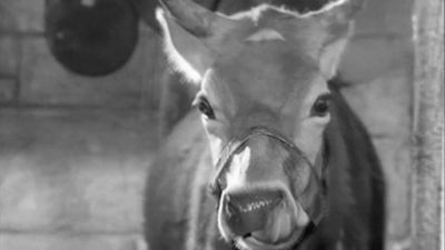 The Adventures of Robin Hood Season 2 Episode 1