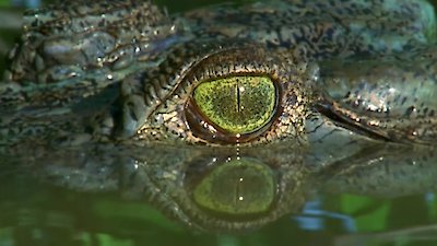 Race of Life Season 1 Episode 1