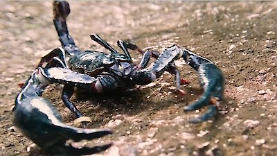 Race of Life Season 1 Episode 3