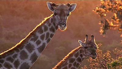 Race of Life Season 1 Episode 4