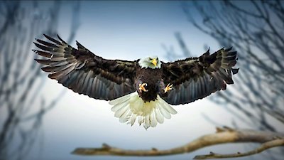 Race of Life Season 1 Episode 7