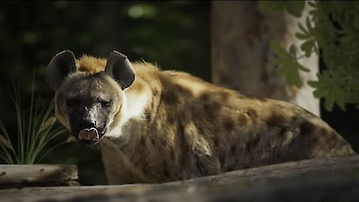 Race of Life Season 1 Episode 9