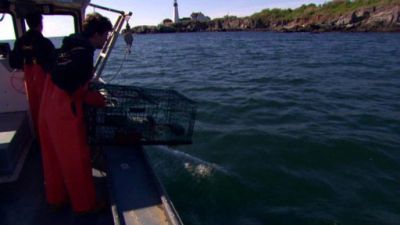 FoodCrafters Season 1 Episode 7