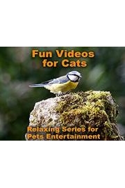 Fun Videos for Cats Relaxing Series for Pets Entertainment