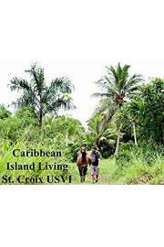 Caribbean Island Living St. Croix USVI