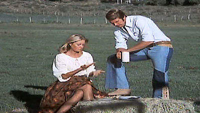 The Six Million Dollar Man Season 4 Episode 9