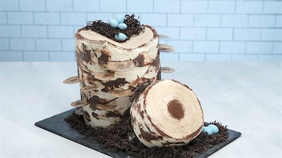 Best Baker in America Season 1 Episode 7