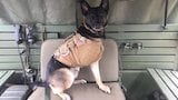 Warrior K-9 Helps Army Sergeant Return Home from Combat