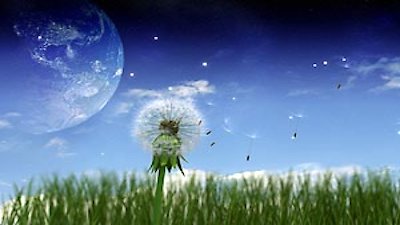 Through the Wormhole Season 1 Episode 5