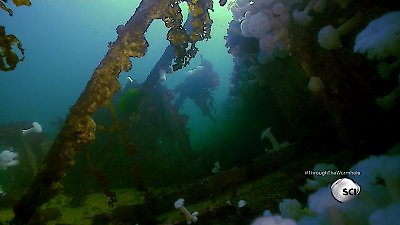 Through the Wormhole Season 5 Episode 5