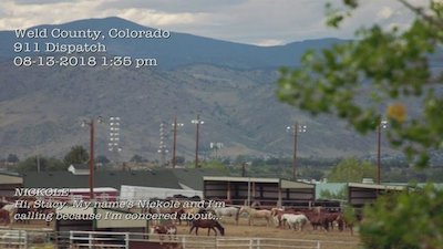 Criminal Confessions Season 3 Episode 1