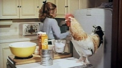 Nanny and the Professor Season 1 Episode 14