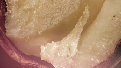 Food: Delicious Science Season 1 Episode 2