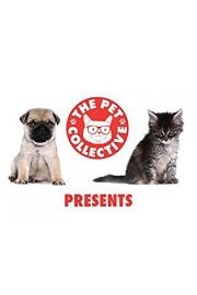 The Pet Collective Presents