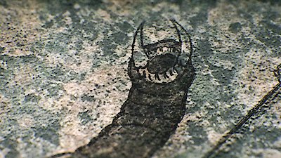 Strange Evidence Season 7 Episode 8